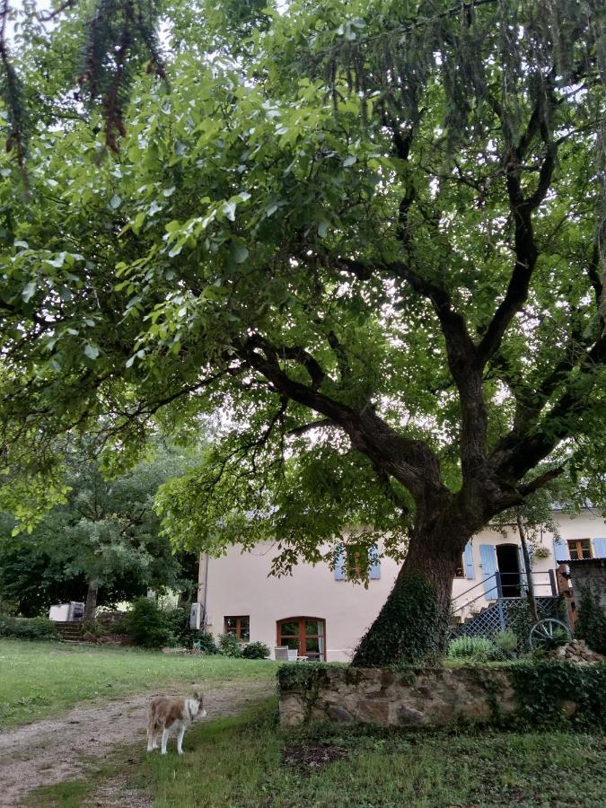 Vabre-Tizac Combecave B&B 외부 사진